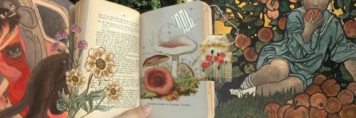 amanda wan ❤️‍🔥🍄's banner