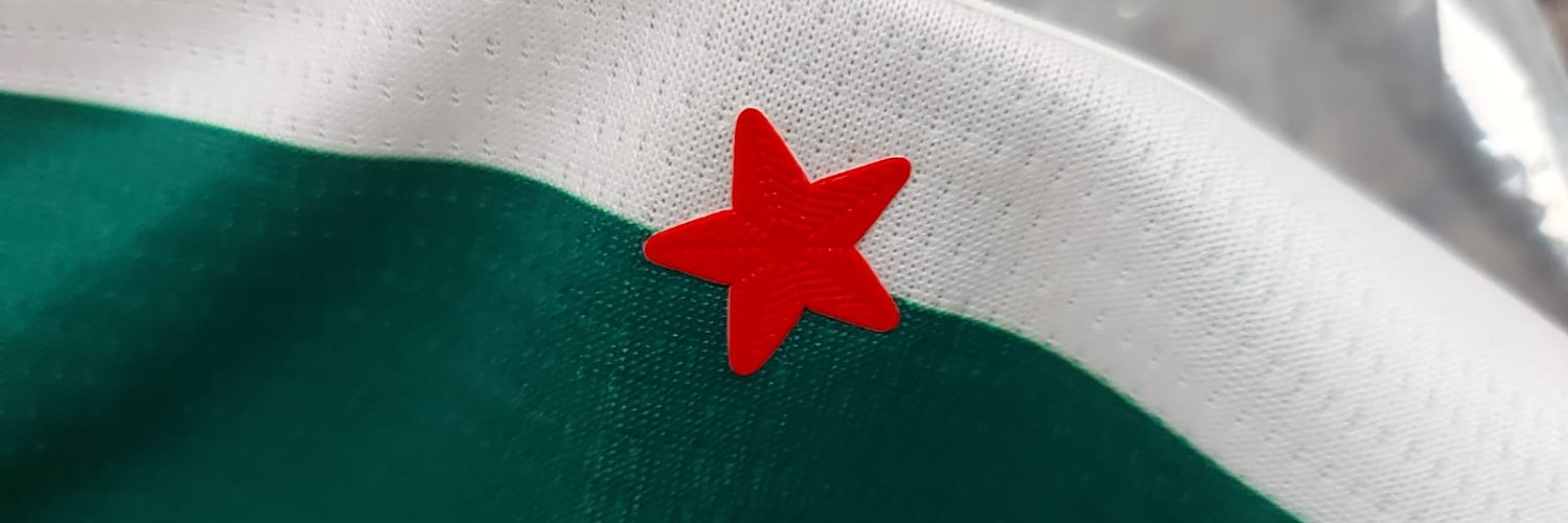 palmerista Ⓐ's banner