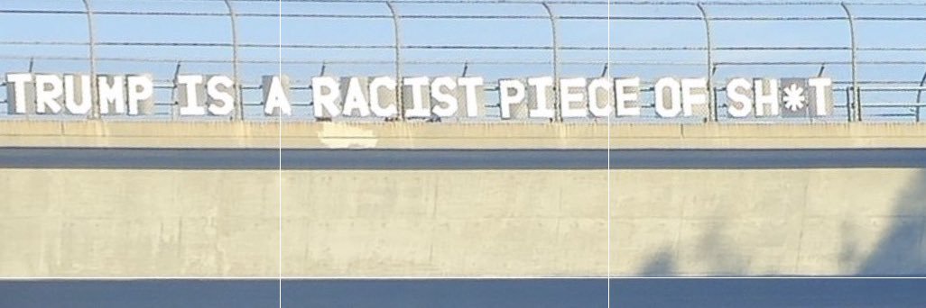 AssCat's banner