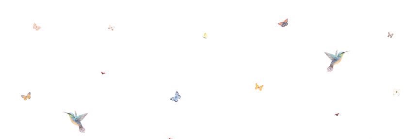 هبة اليوسف ❧'s banner