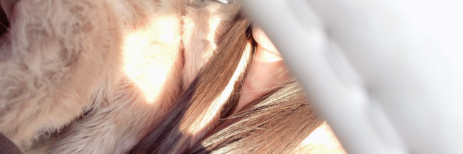 ぼの。's banner