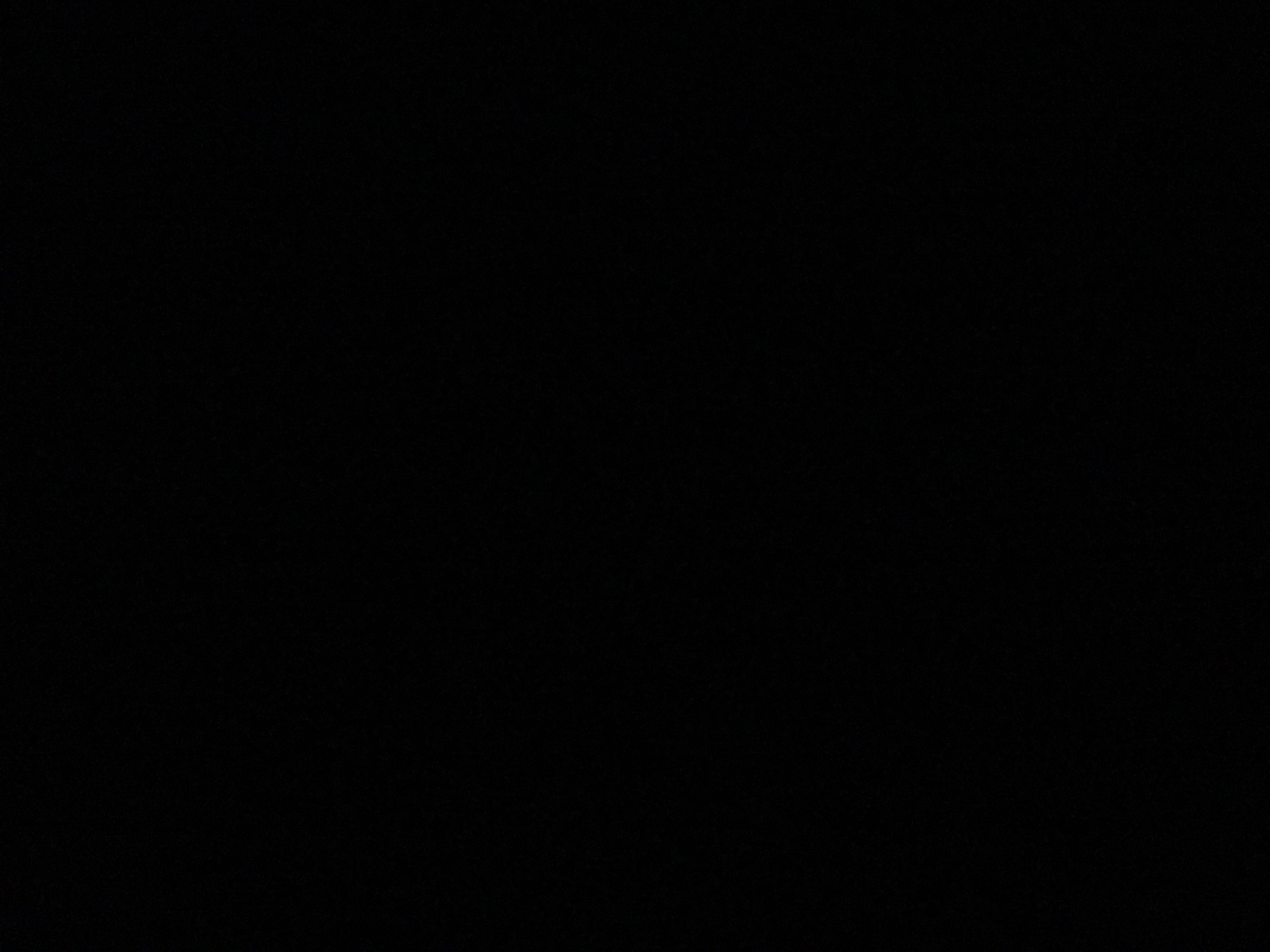 Anelisa.J's banner