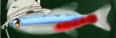 がぴ㍍'s banner