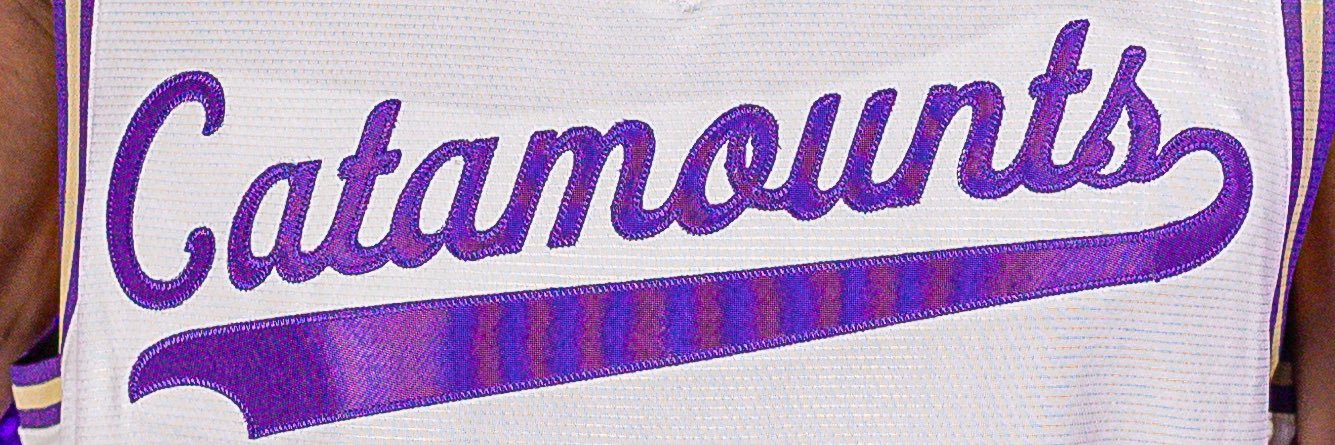 Western Carolina Basketball's banner