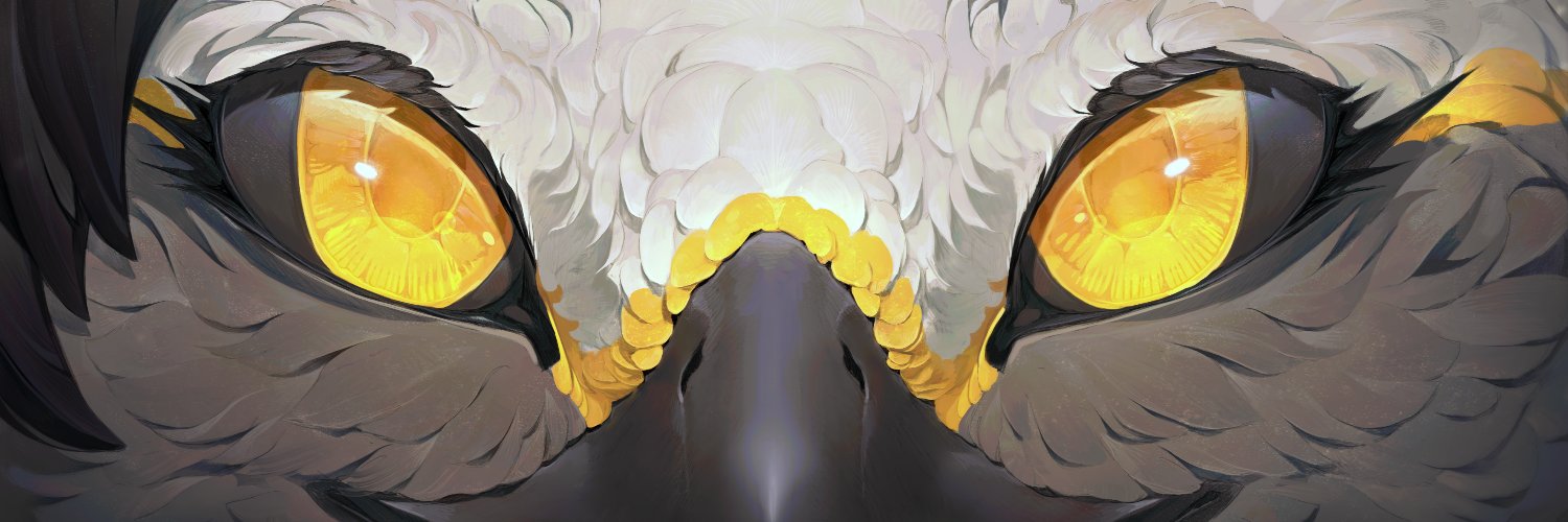 Suflo | ~Birdy!~ 🤍🧡🖤's banner