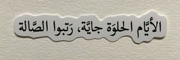عجيبه's banner