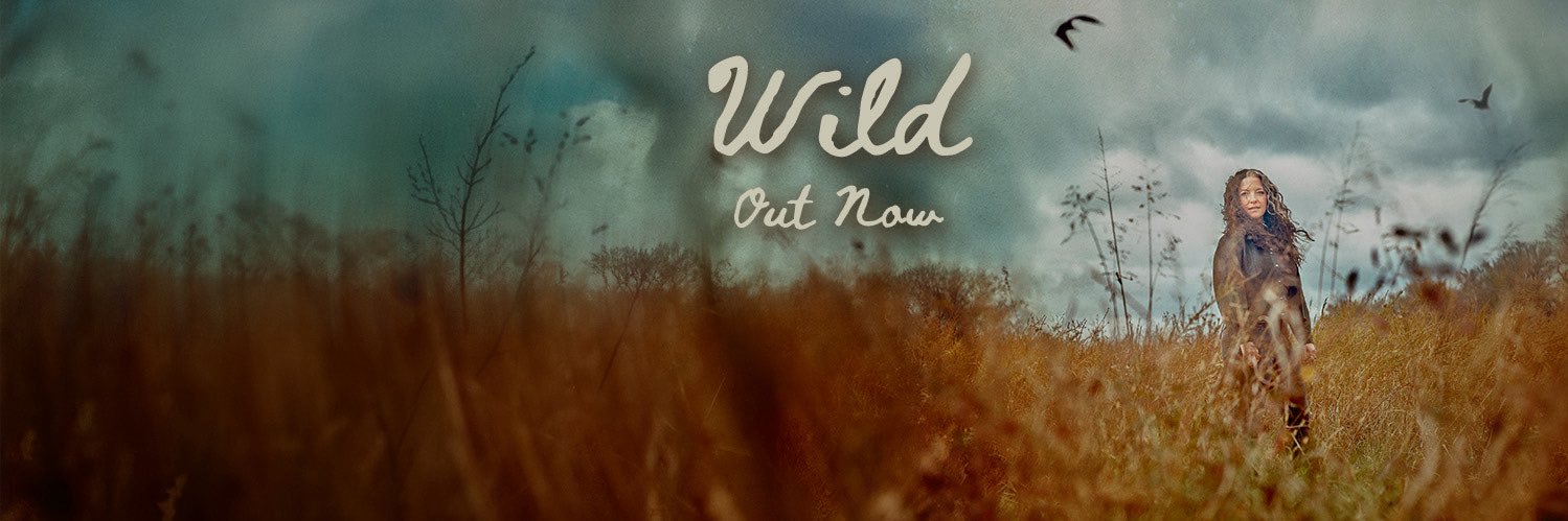 Ashley McBryde's banner
