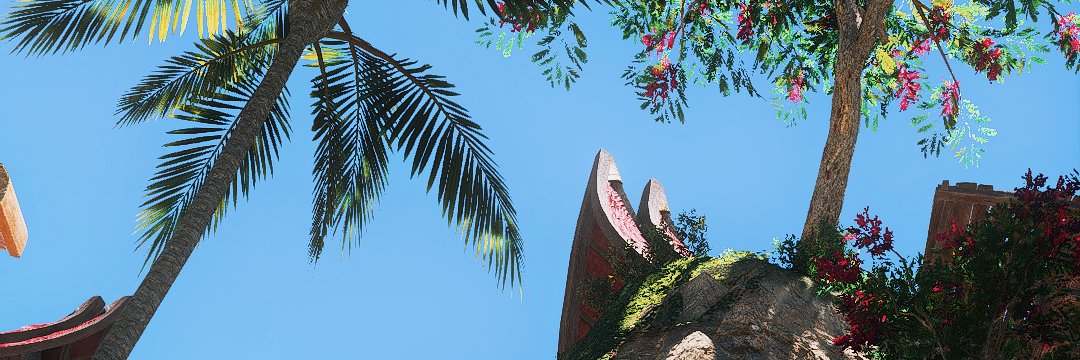 Petra's banner