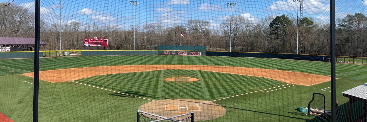Hinds CC Baseball's banner