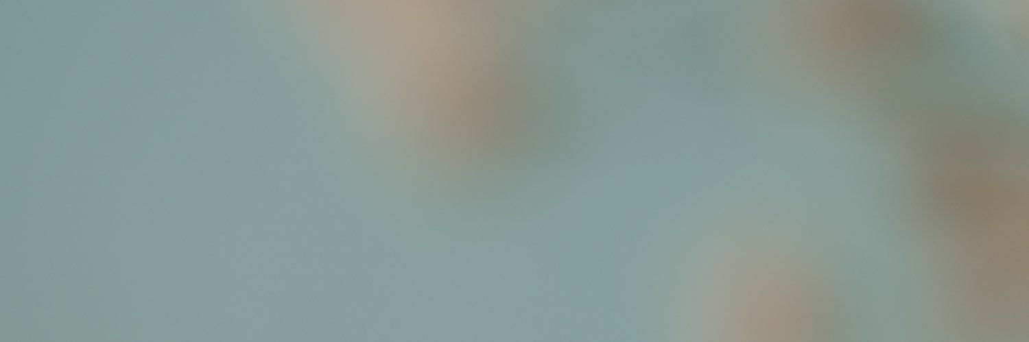 nanase / 四季に栞's banner