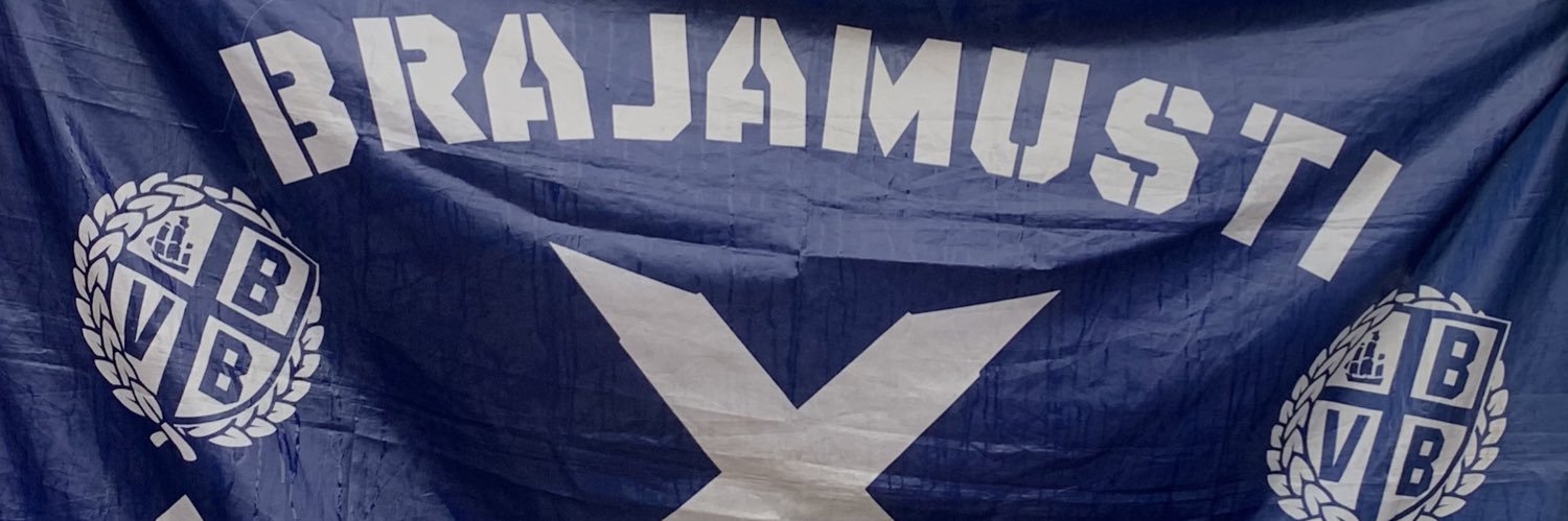 BVB1929's banner