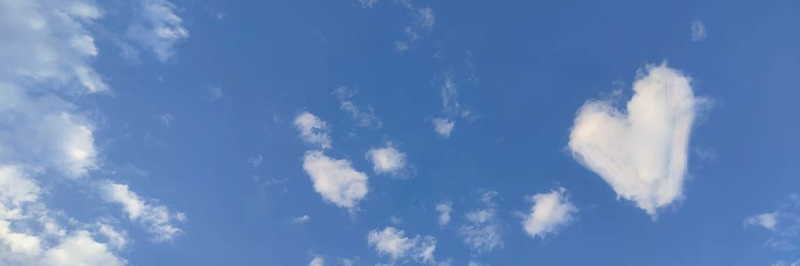 أروه🍃's banner