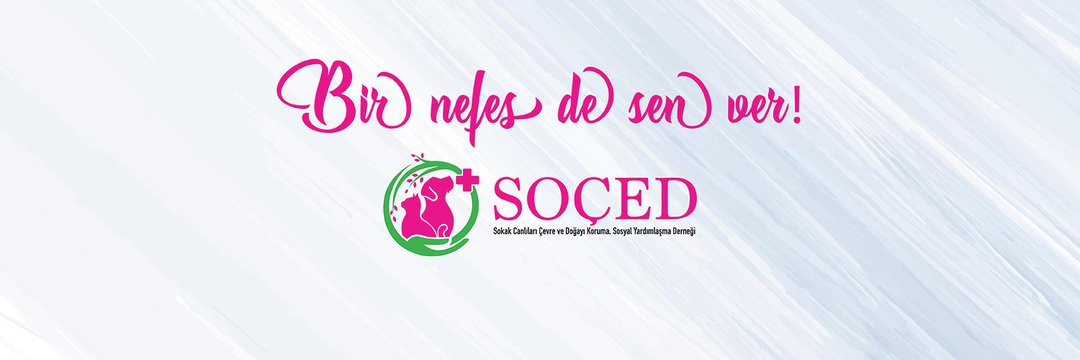 Jale İYEM İnş. Yük. Müh. SOÇED DERNEĞİ GN BŞK's banner