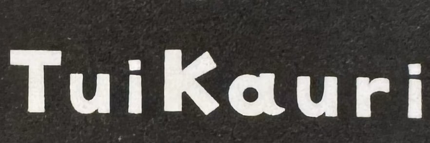 上野樹里's banner