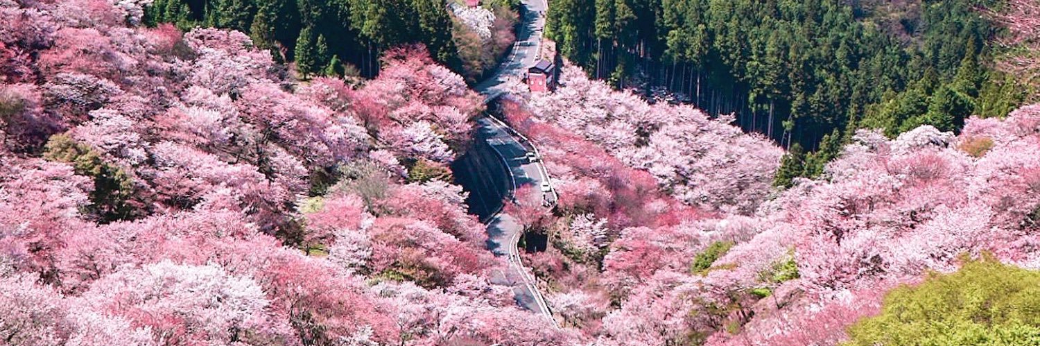 ほわほわ's banner