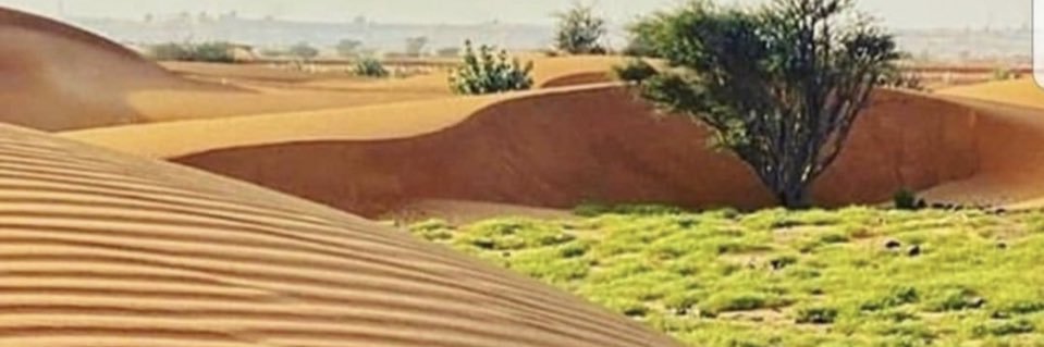 جهز الفلاح's banner