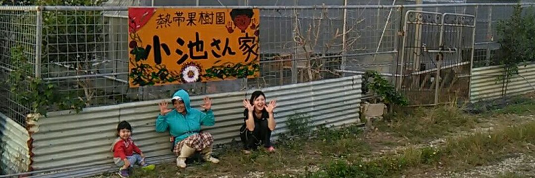 熱帯果樹園　小池さん家's banner