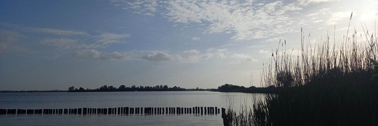 Femke Marije's banner
