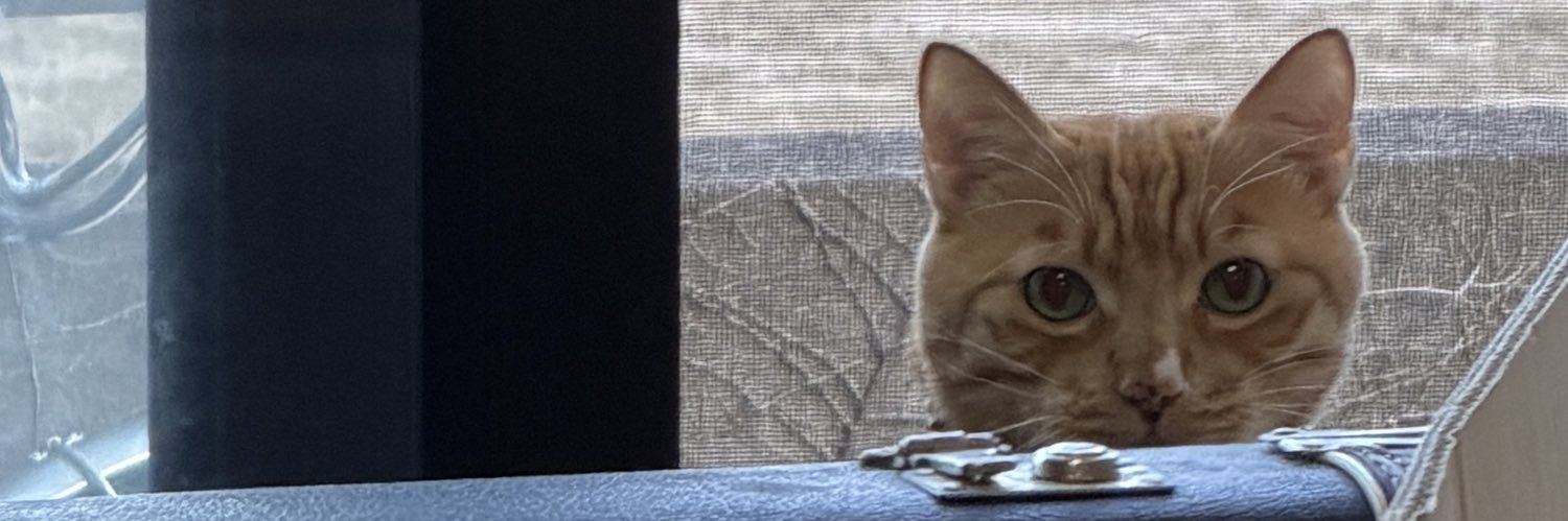 KOTA's banner