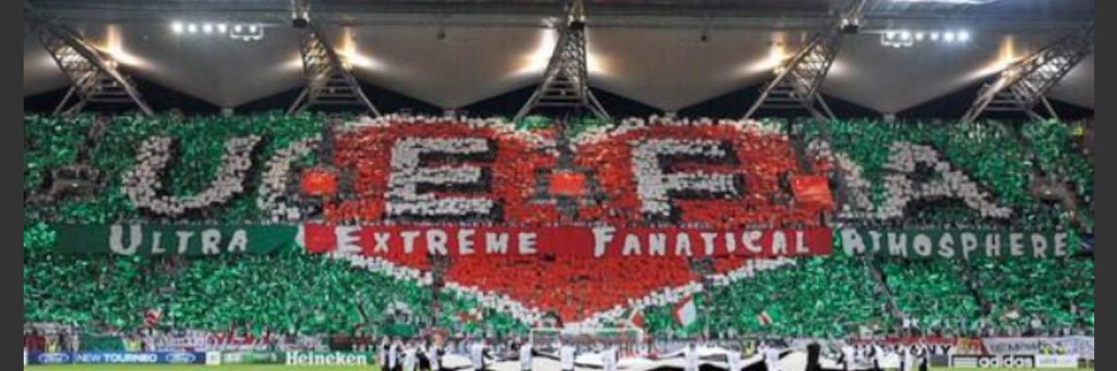 Maciej's banner