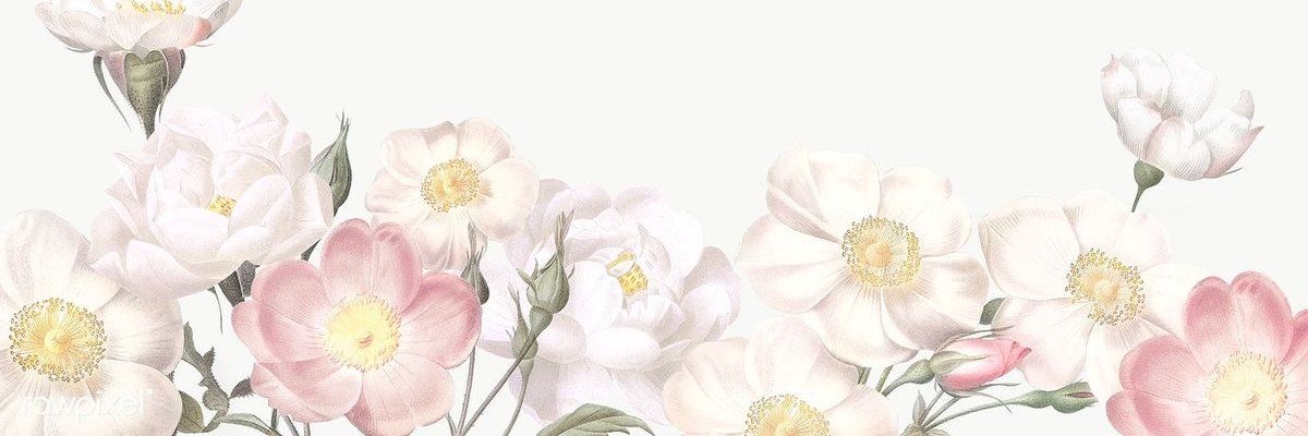 lily 🐞's banner
