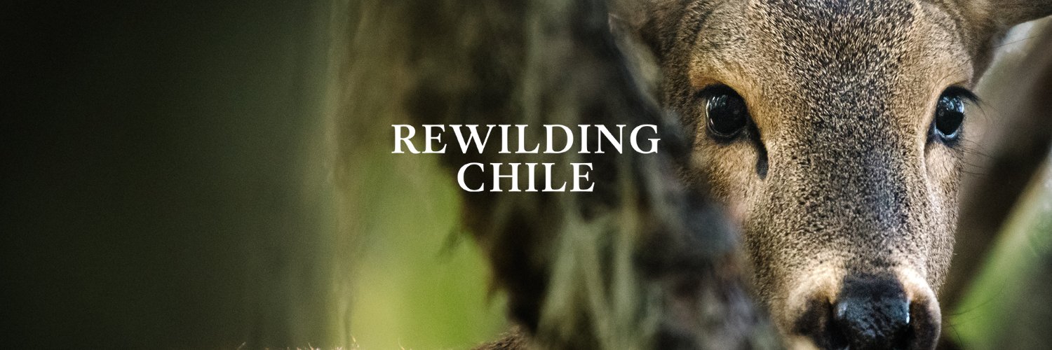 Rewilding Chile's banner