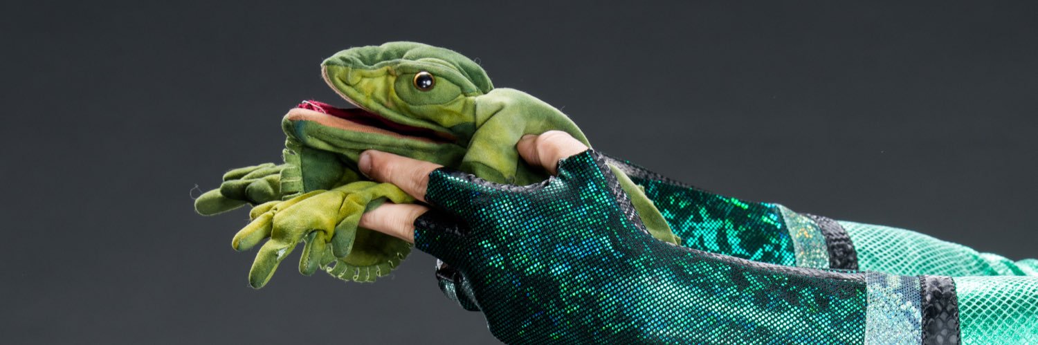 Mr. Iguana's banner