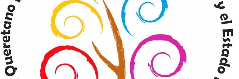 Frente Queretano por el DNDEL's banner
