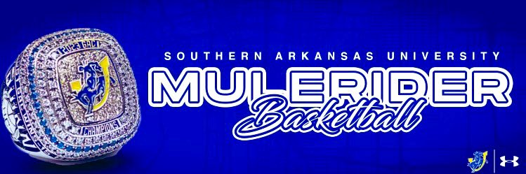 SAU Basketball's banner