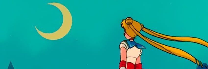 🌸🌼🌺🌻's banner