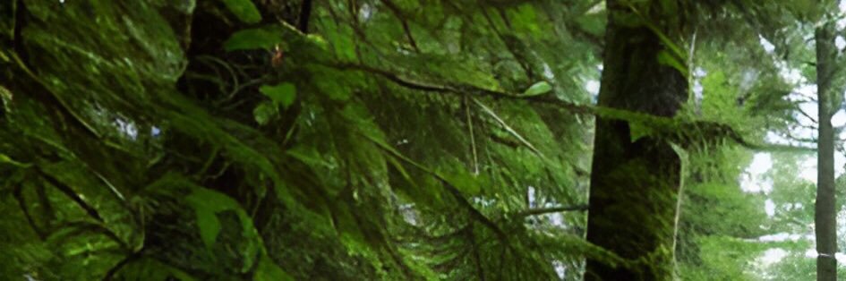 مجلعد's banner