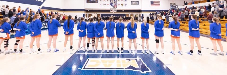 UW-Platteville Women’s Basketball's banner