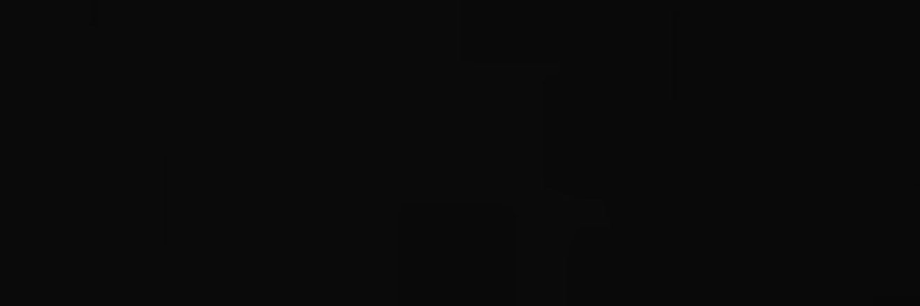 TSAR's banner