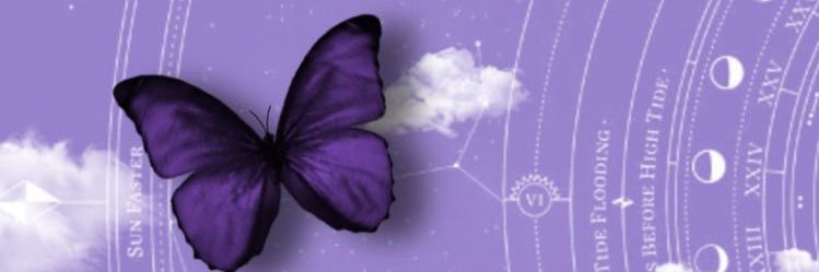 ฟีบีน่า🍇's banner