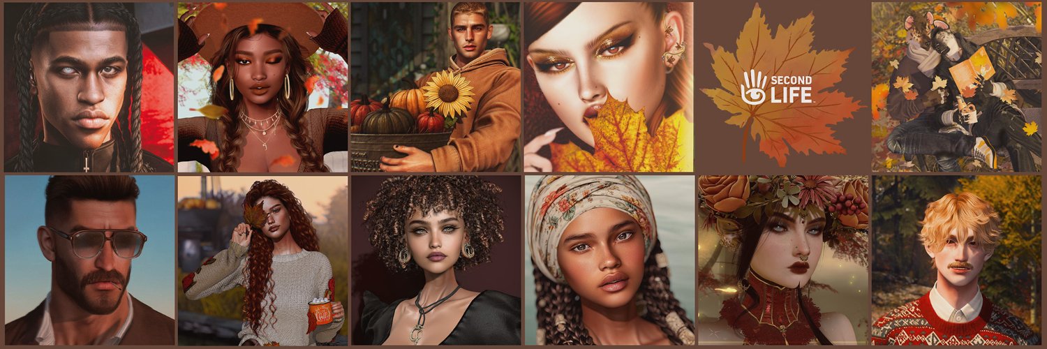Second Life's banner