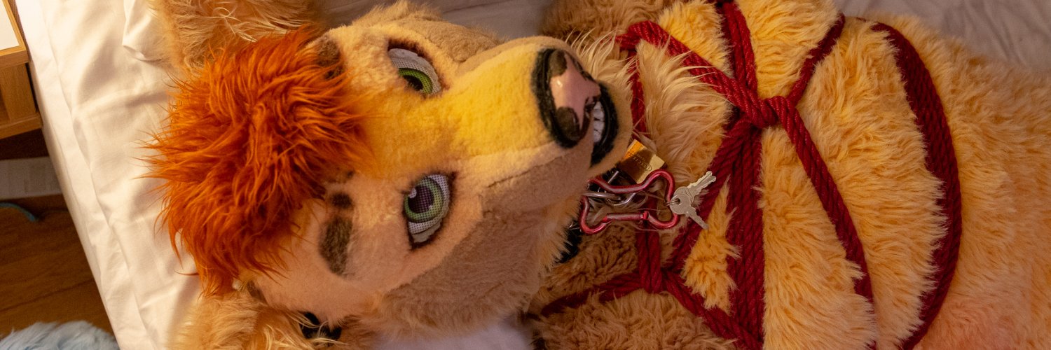 Bondage canine :X's banner