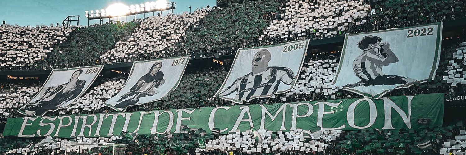 Rober's banner