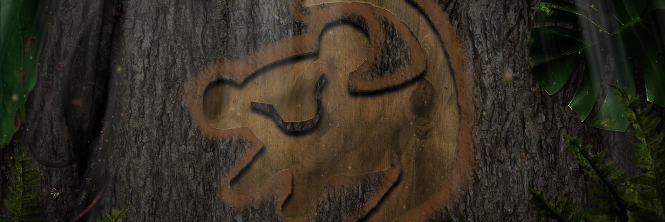 Rei leãozinho🦁's banner