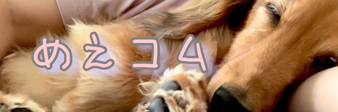 めぇコム's banner