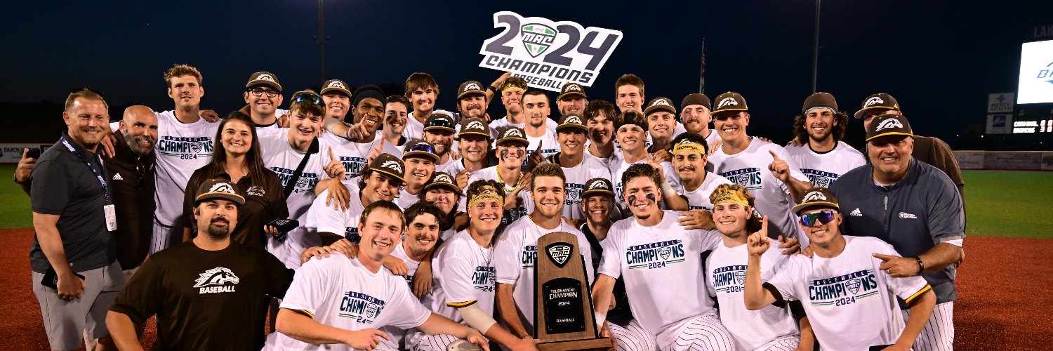 Western Michigan Baseball's banner