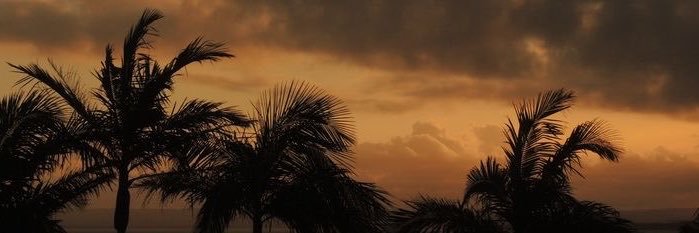 إيمي's banner