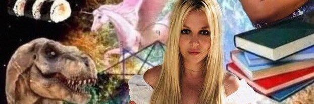 fem top's banner