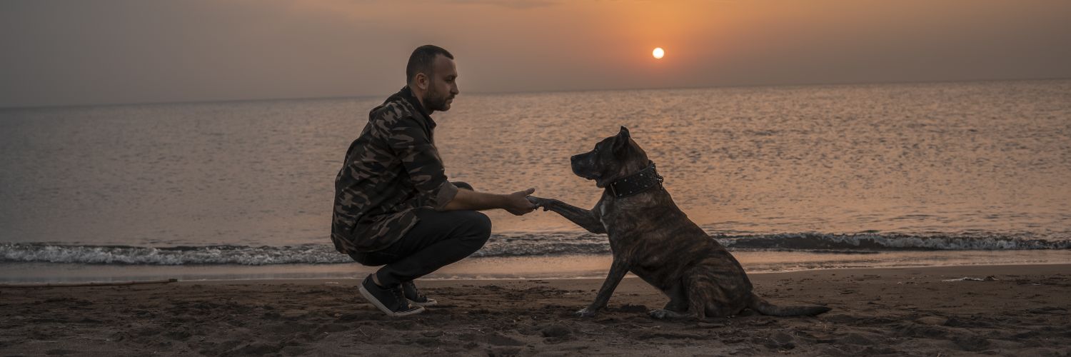 Alper Şener 📽🎬🐾's banner