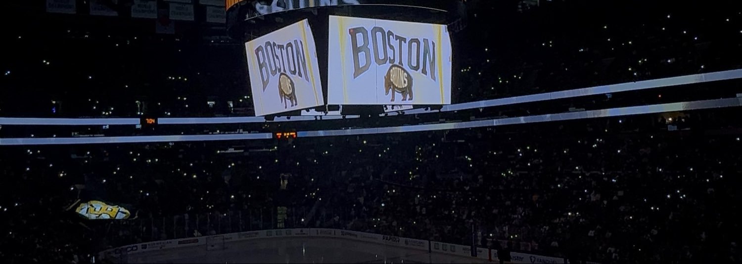 liv's banner