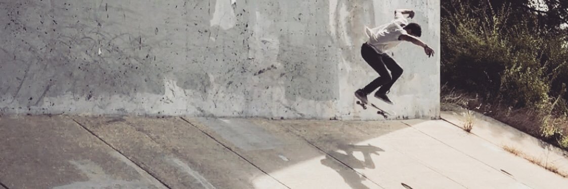 fakie flips's banner