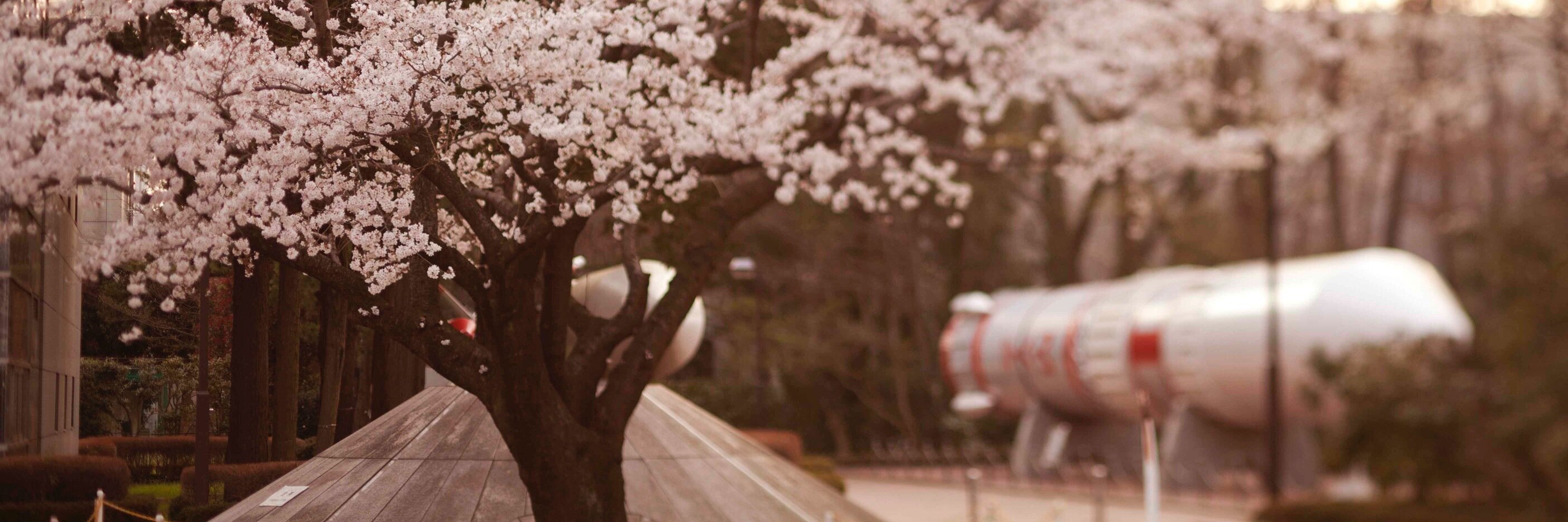 ぐるぐるうづまき's banner