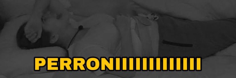 janyne perronita's banner