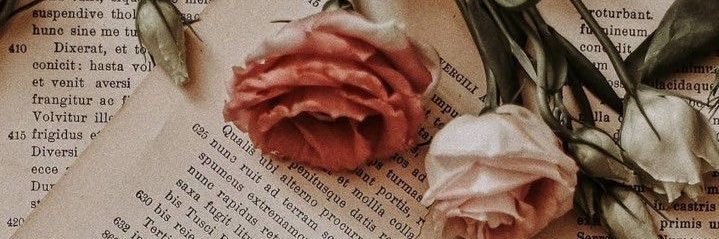 𝙢𝙖𝙧𝙮's banner
