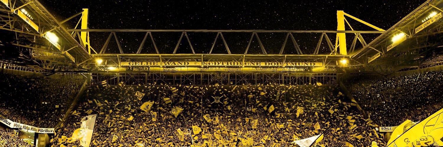 BVB Buzz's banner