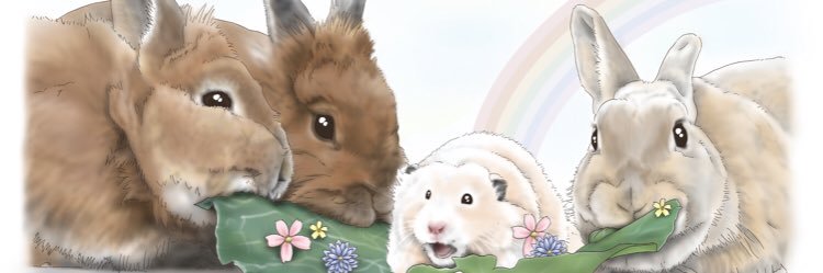 3匹のうさぎ's banner